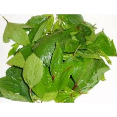 Gongura : Sorrel